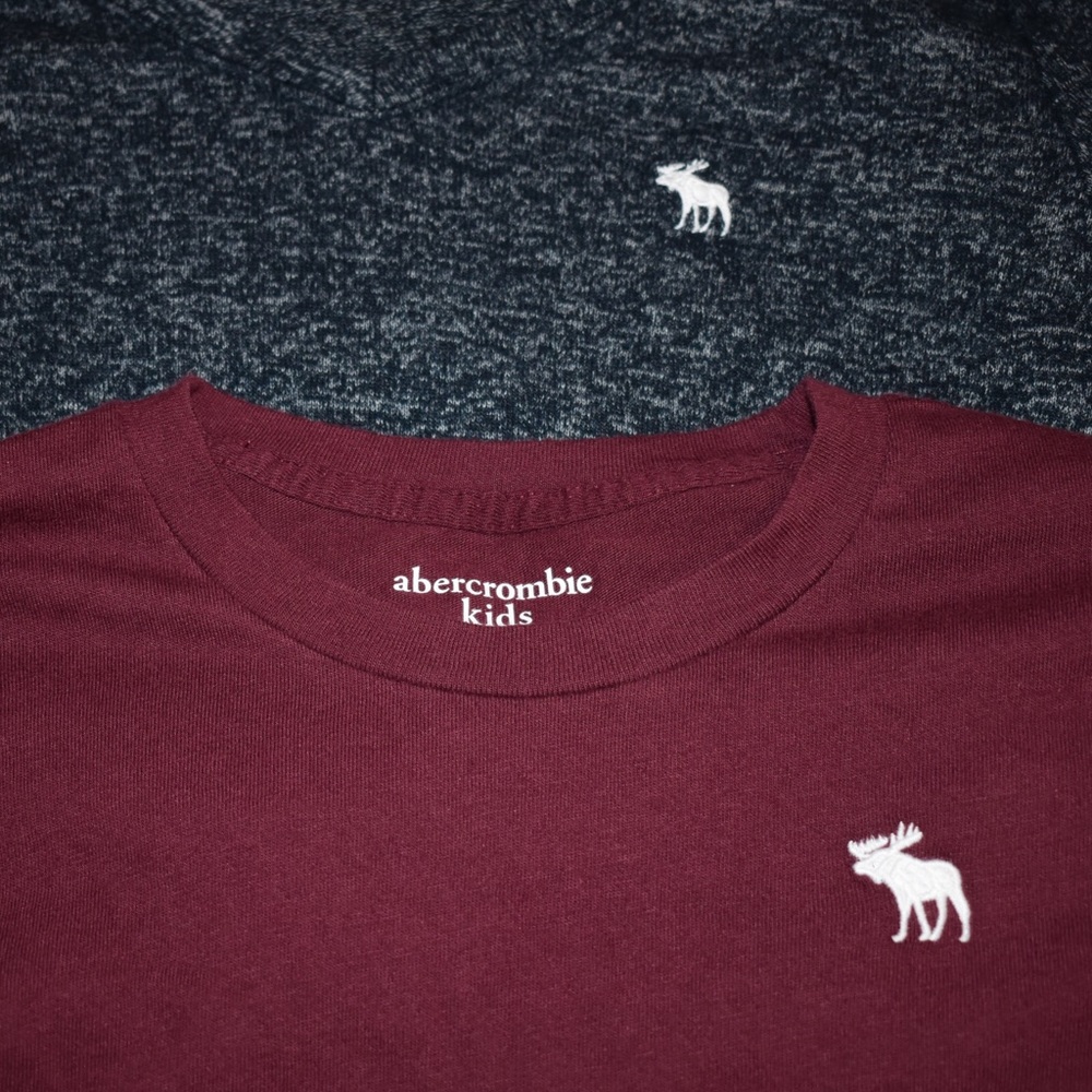 Abercrombie Kids Long-Sleeve Tees Bundle of 2